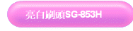 GըYSG-853H