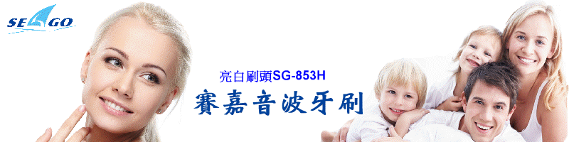 GըYSG-853H
